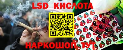мяу мяу мука Краснознаменск