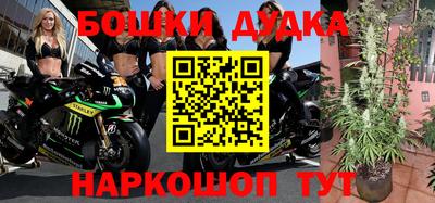 шишки Краснодар