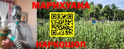 шишки Краснодар