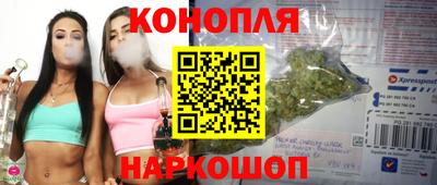 шишки Краснодар