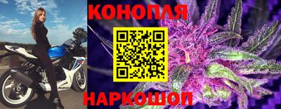 шишки Краснодар