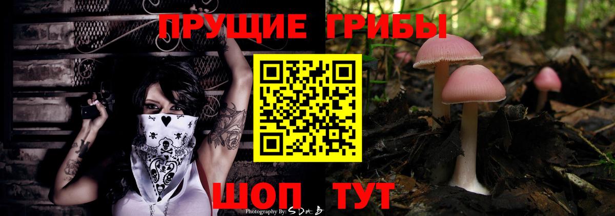 Галлюциногенные грибы MAGIC MUSHROOMS  Вход с VPN  Галлюциногенные грибы Psilocybe  Ленинск-Кузнецкий 