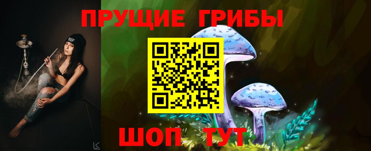 Псилоцибиновые грибы Psilocybe Ленинск-Кузнецкий